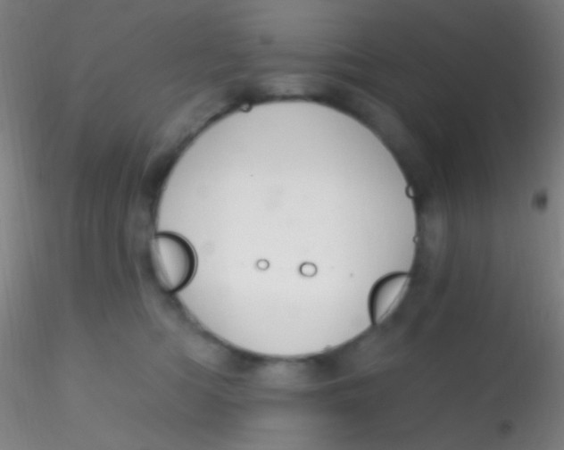 X0000115200422200911251448