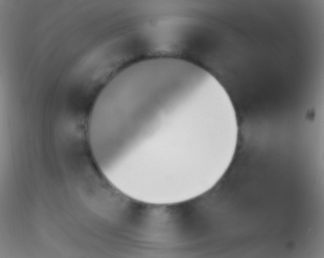 X0000115200423200911251448