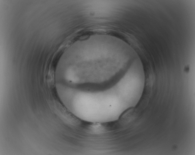 X0000115200425200911251448