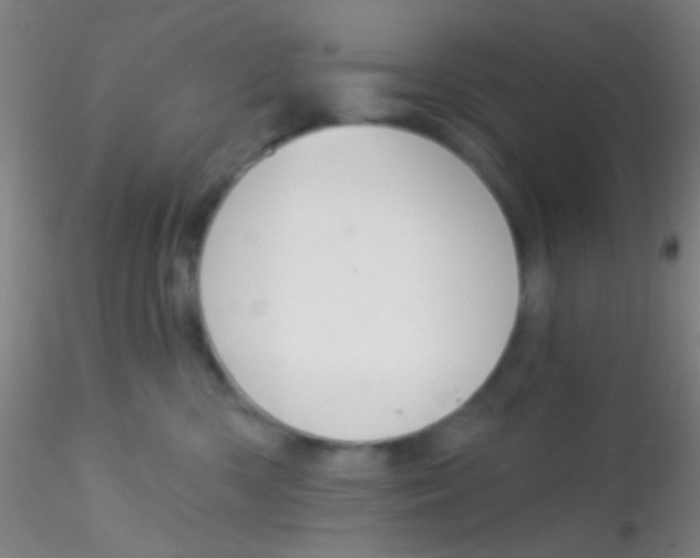 X0000115200426200911251448
