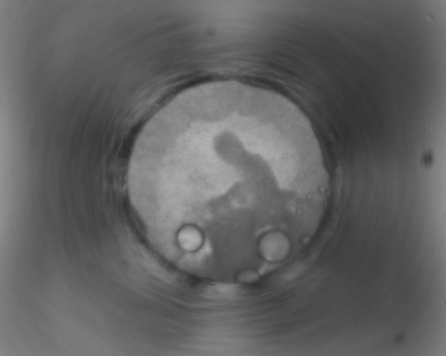X0000115200428200911251448