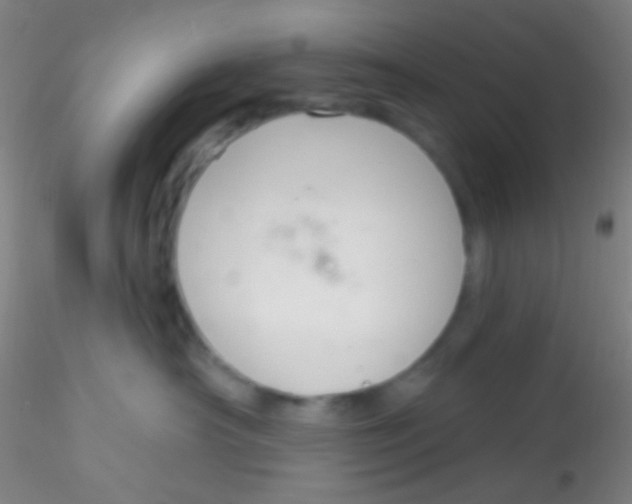 X0000115200430200911251448