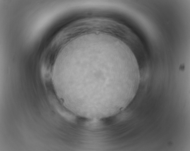 X0000115200431200911251448