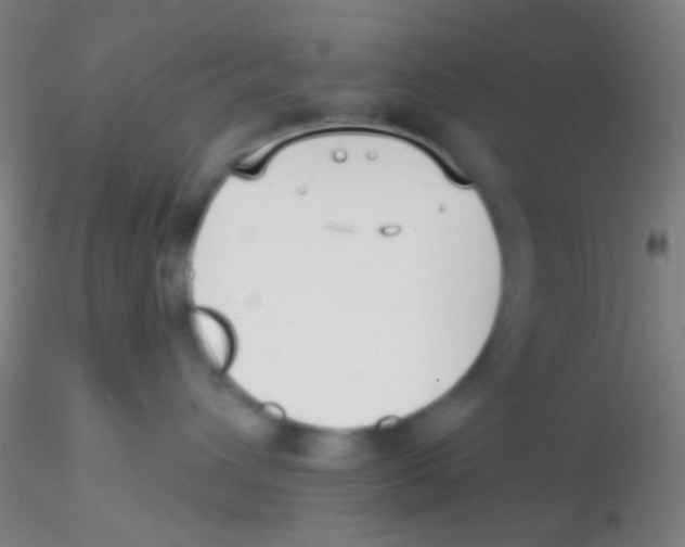 X0000115200432200911251448
