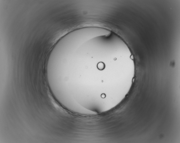 X0000115200433200911251447