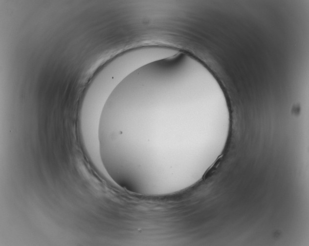 X0000115200434200911251447