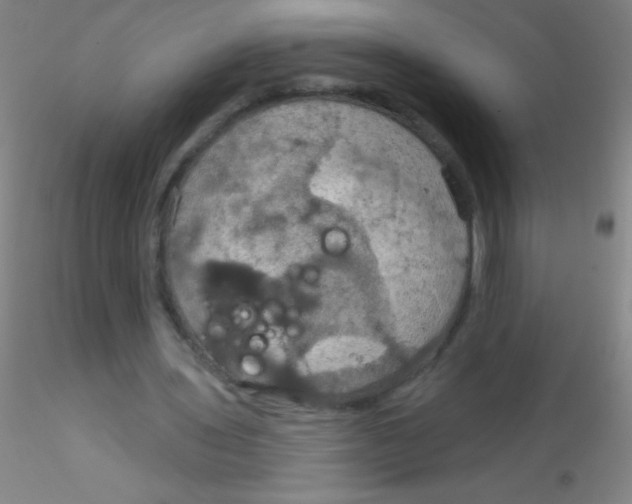 X0000115200435200911251447