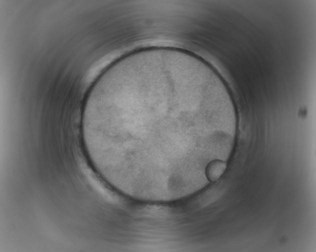 X0000115200437200911251447