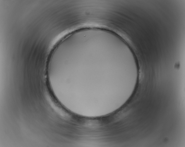 X0000115200438200911251447