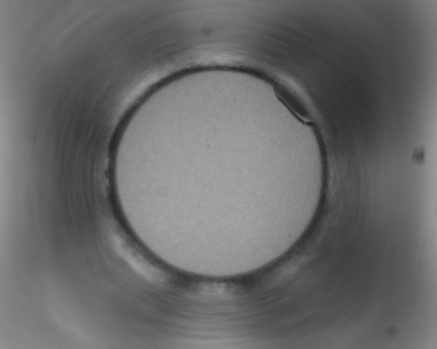 X0000115200439200911251447