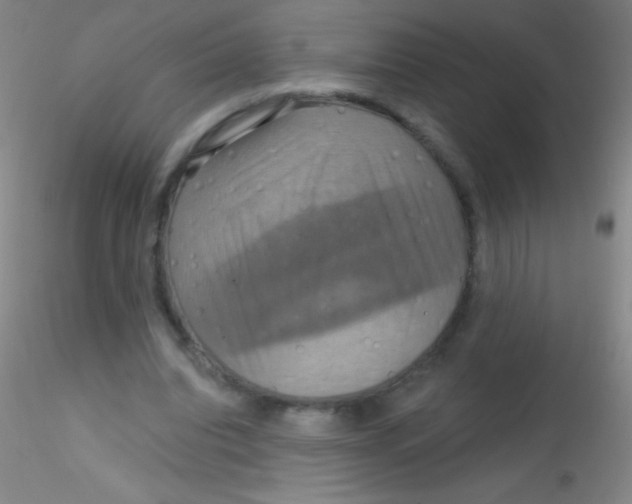 X0000115200440200911251447