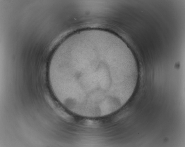 X0000115200442200911251447