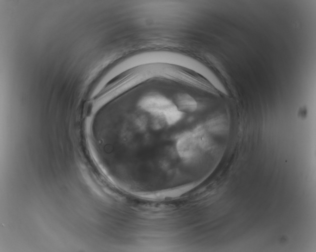 X0000115200443200911251447