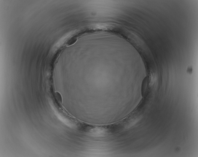 X0000115200444200911251447