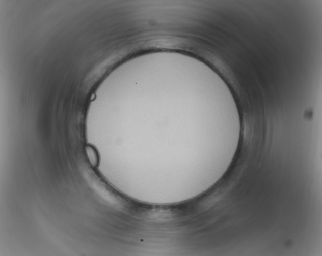X0000115200445200911251447