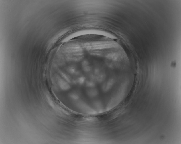X0000115200446200911251447