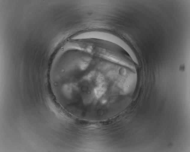 X0000115200447200911251447