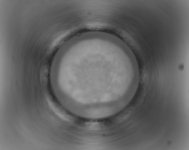 X0000115200448200911251447