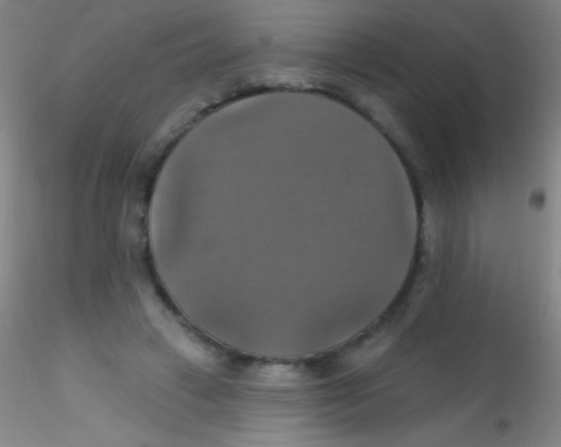 X0000115200449200911251447