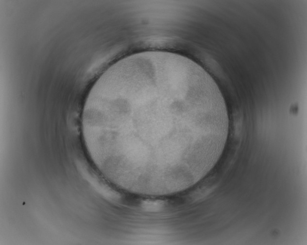X0000115200450200911251447
