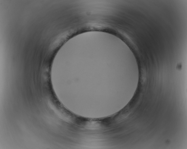 X0000115200451200911251447