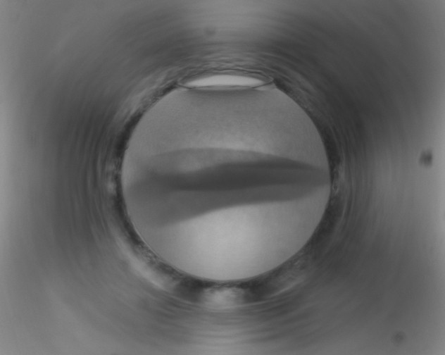 X0000115200452200911251447