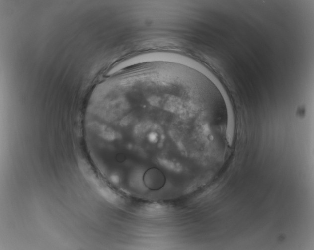 X0000115200453200911251447
