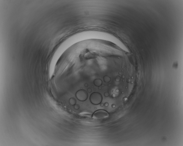 X0000115200454200911251447