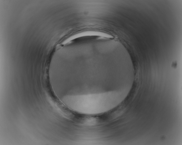 X0000115200456200911251447