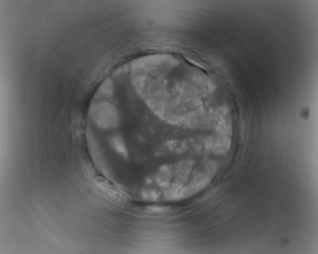 X0000115200457200911251447