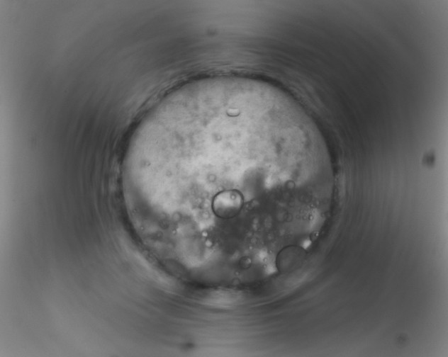 X0000115200458200911251447