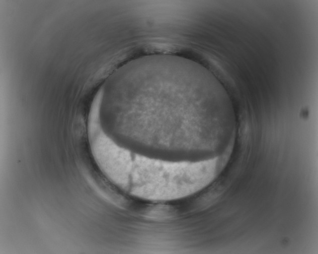 X0000115200459200911251447