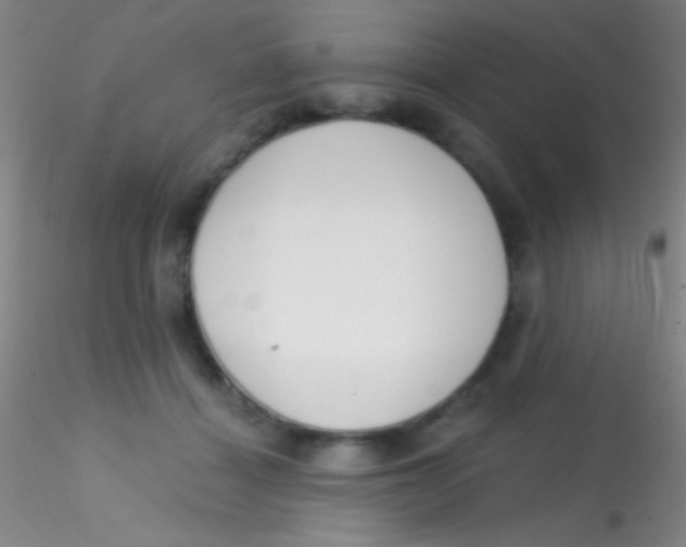 X0000115200460200911251447