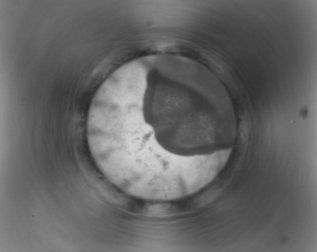 X0000115200461200911251447