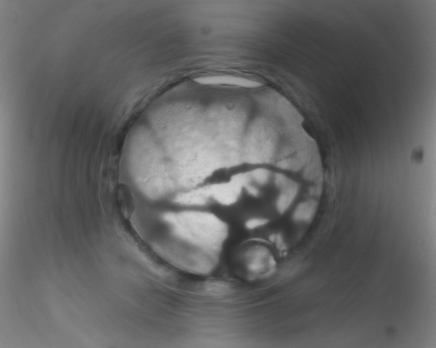 X0000115200462200911251447