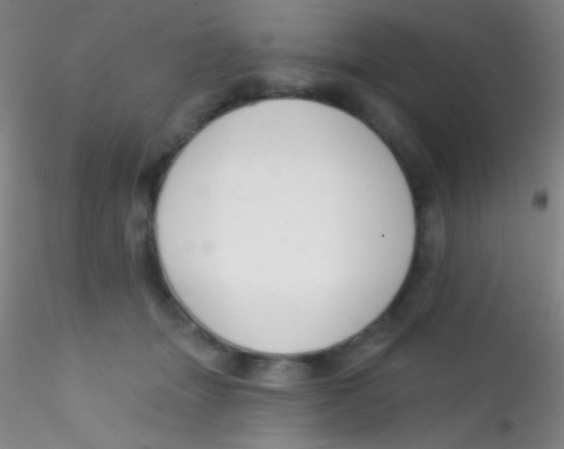 X0000115200463200911251447