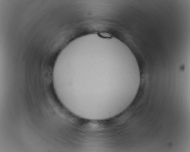 X0000115200464200911251447