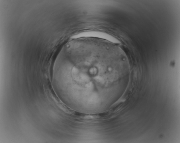 X0000115200465200911251447