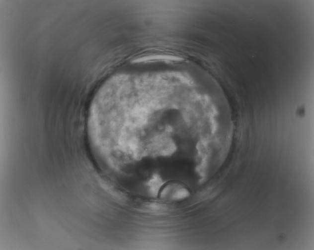 X0000115200466200911251447