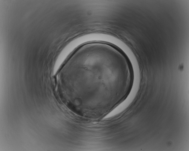 X0000115200467200911251447