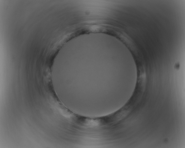 X0000115200469200911251447