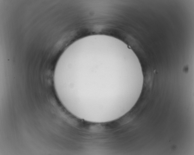 X0000115200470200911251447