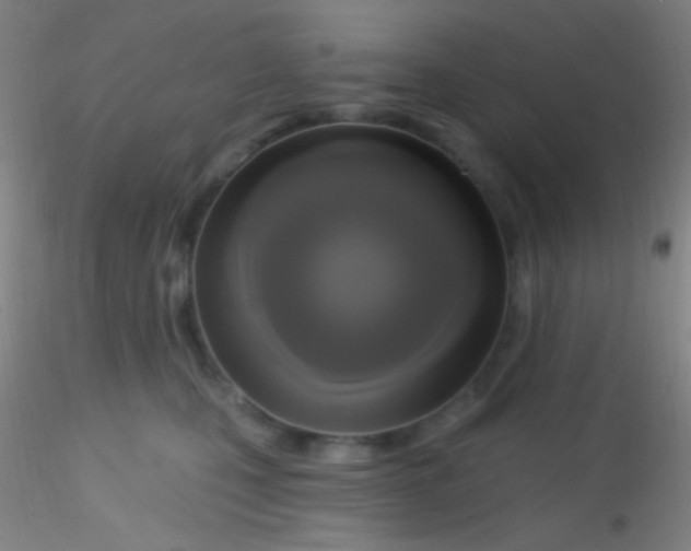 X0000115200471200911251447
