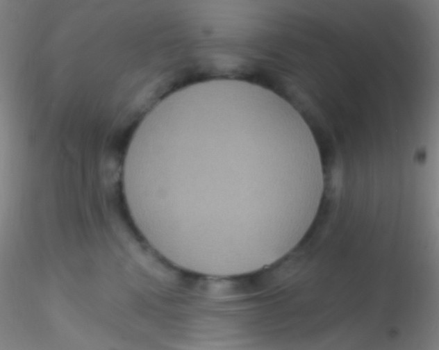 X0000115200472200911251447