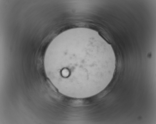 X0000115200473200911251448