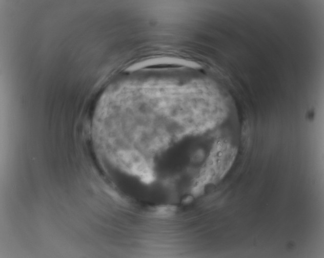 X0000115200474200911251448