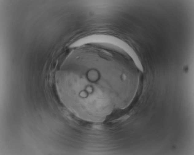 X0000115200475200911251448