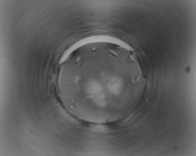 X0000115200476200911251448