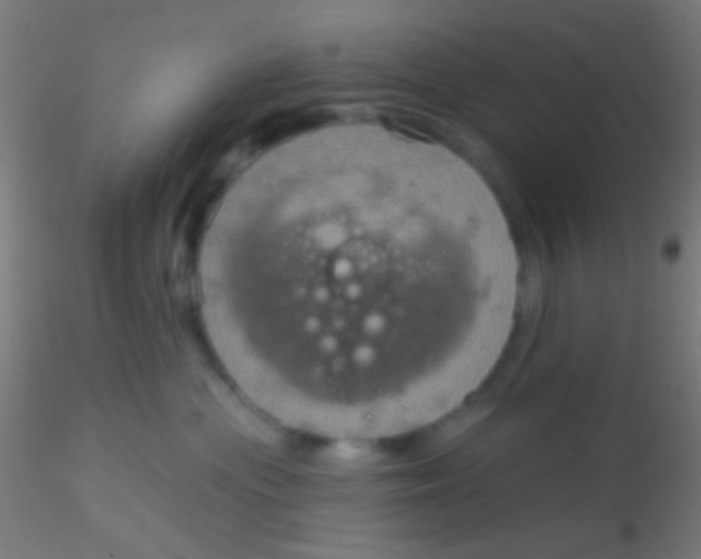 X0000115200477200911251448