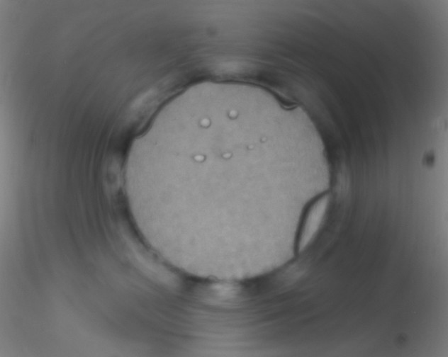 X0000115200478200911251448